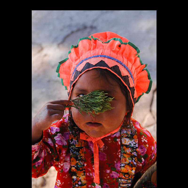 Tarahumara Project, Chihuahua