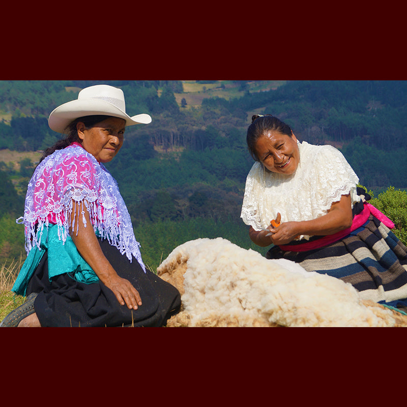 Cooperativa Cihuamechihkeh Payotl, Zongolica Tlaquilpa, Veracruz