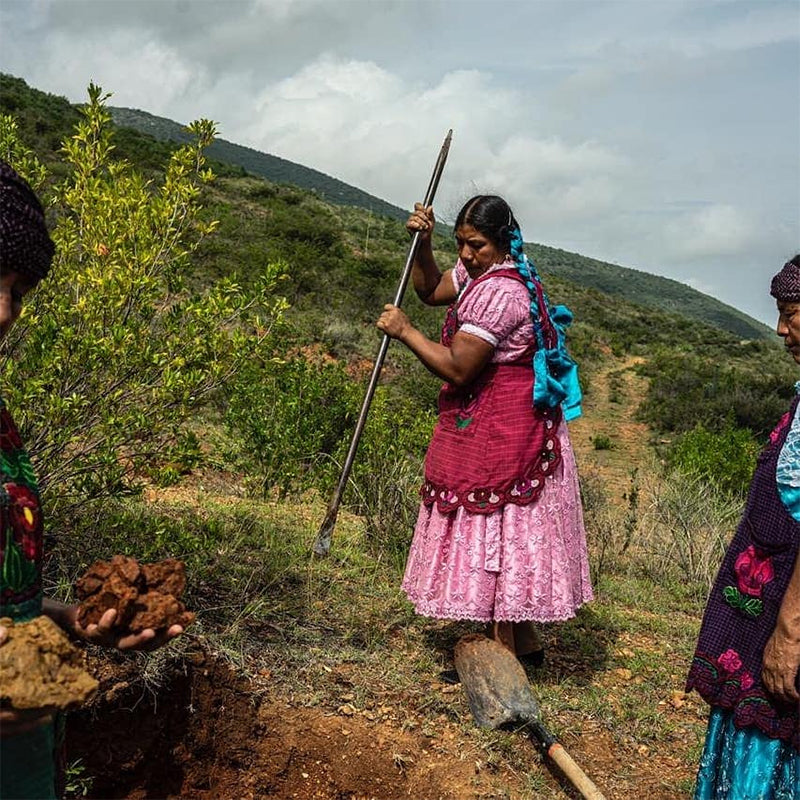 Macrina Mateo Martínez, Cooperativa Mujeres del Barro Rojo, Tlacoloula de Matamoros, Oaxaca