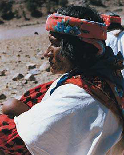 The Tarahumara Project, Chihuahua